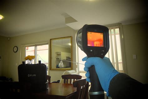 custom moisture meter to detect termites|how to detect termites indoors.